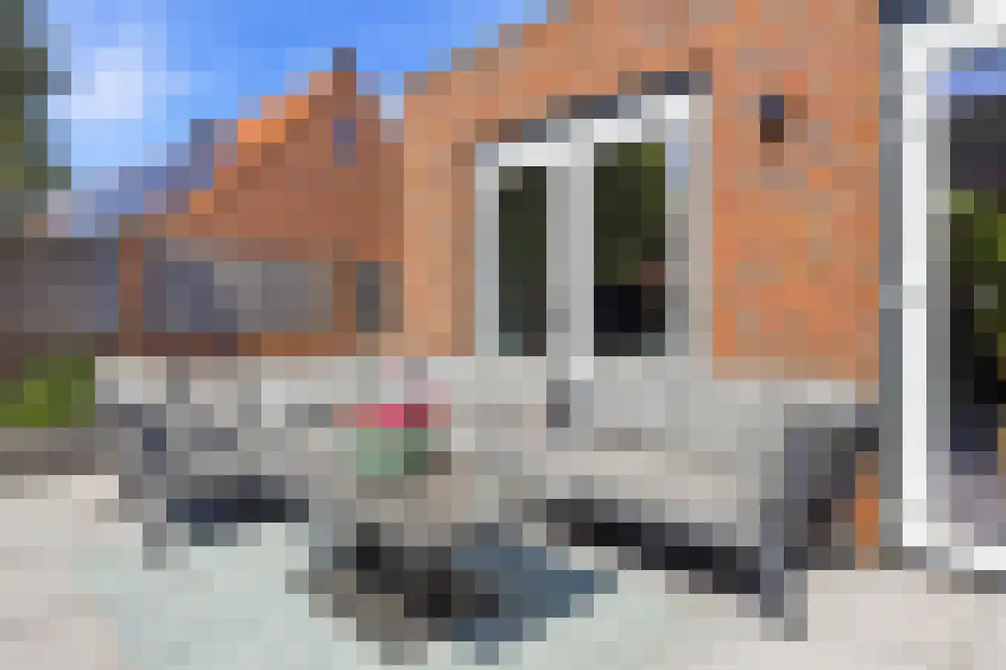 Schuitvaartgracht 173 Vlissingen thumbnail 27