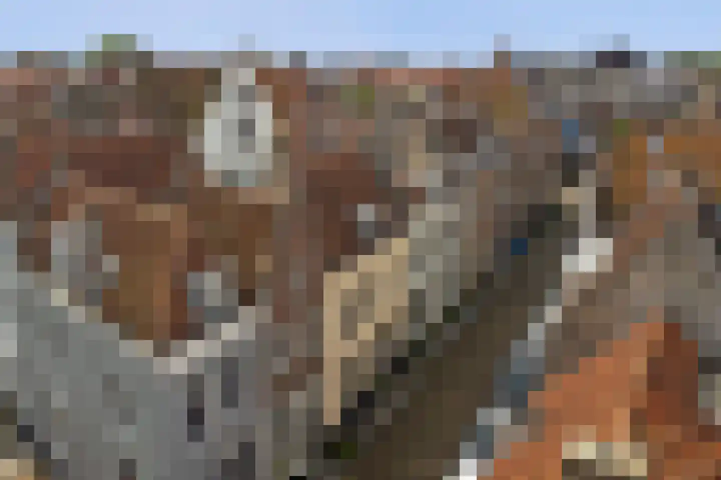 Schuitvlotstraat 14 Middelburg thumbnail 34