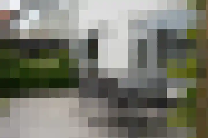 Schuitvlotstraat 15 A Groede thumbnail 25