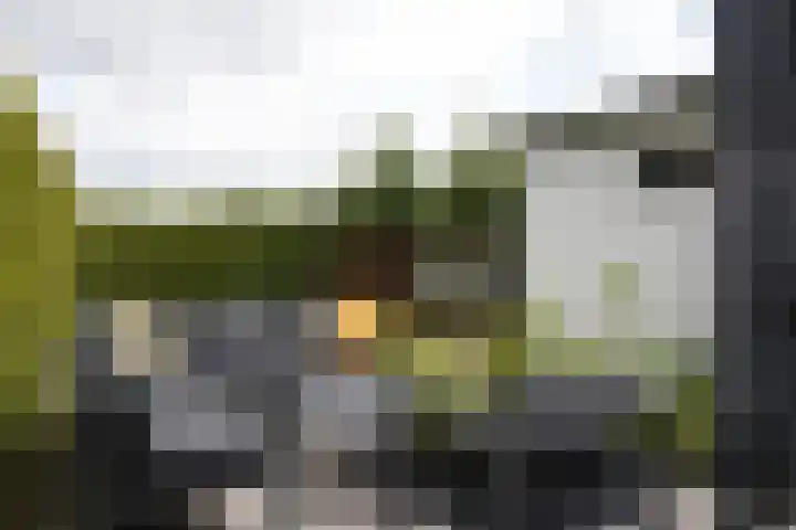 Schuitvlotstraat 15 A Groede thumbnail 26