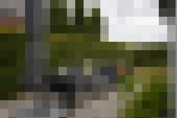 Schuitvlotstraat 15 A Groede thumbnail 27