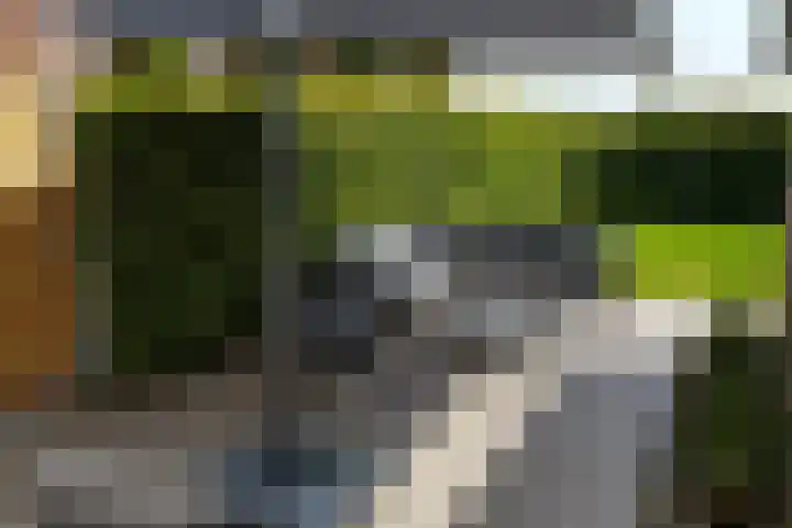Schuitvlotstraat 15 A Groede thumbnail 28