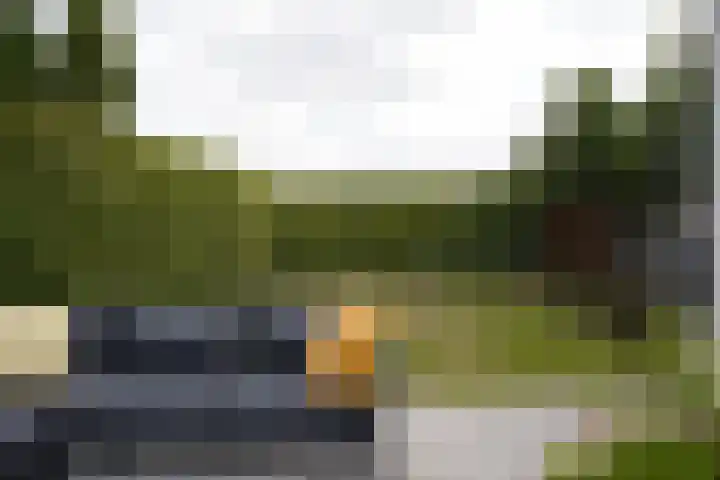 Schuitvlotstraat 15 A Groede thumbnail 29