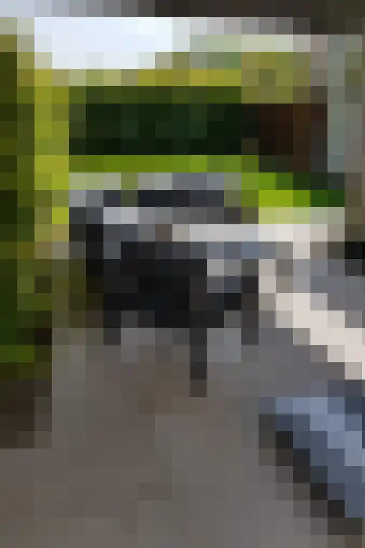 Schuitvlotstraat 15 A Groede thumbnail 31