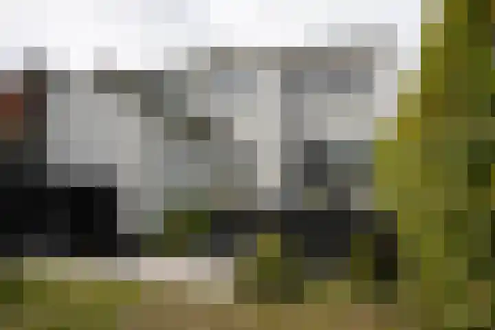Schuitvlotstraat 15 A Groede thumbnail 34
