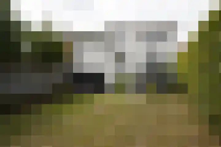 Schuitvlotstraat 15 A Groede thumbnail 35