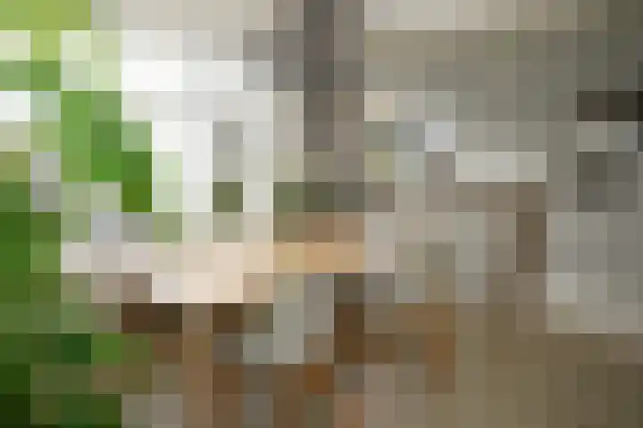 Schuitvlotstraat 15 A Groede thumbnail 9