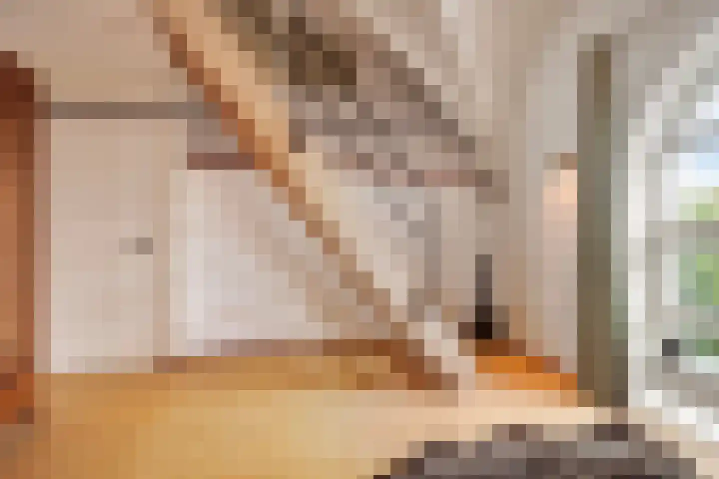 Schuitvlotstraat 15 Groede thumbnail 32