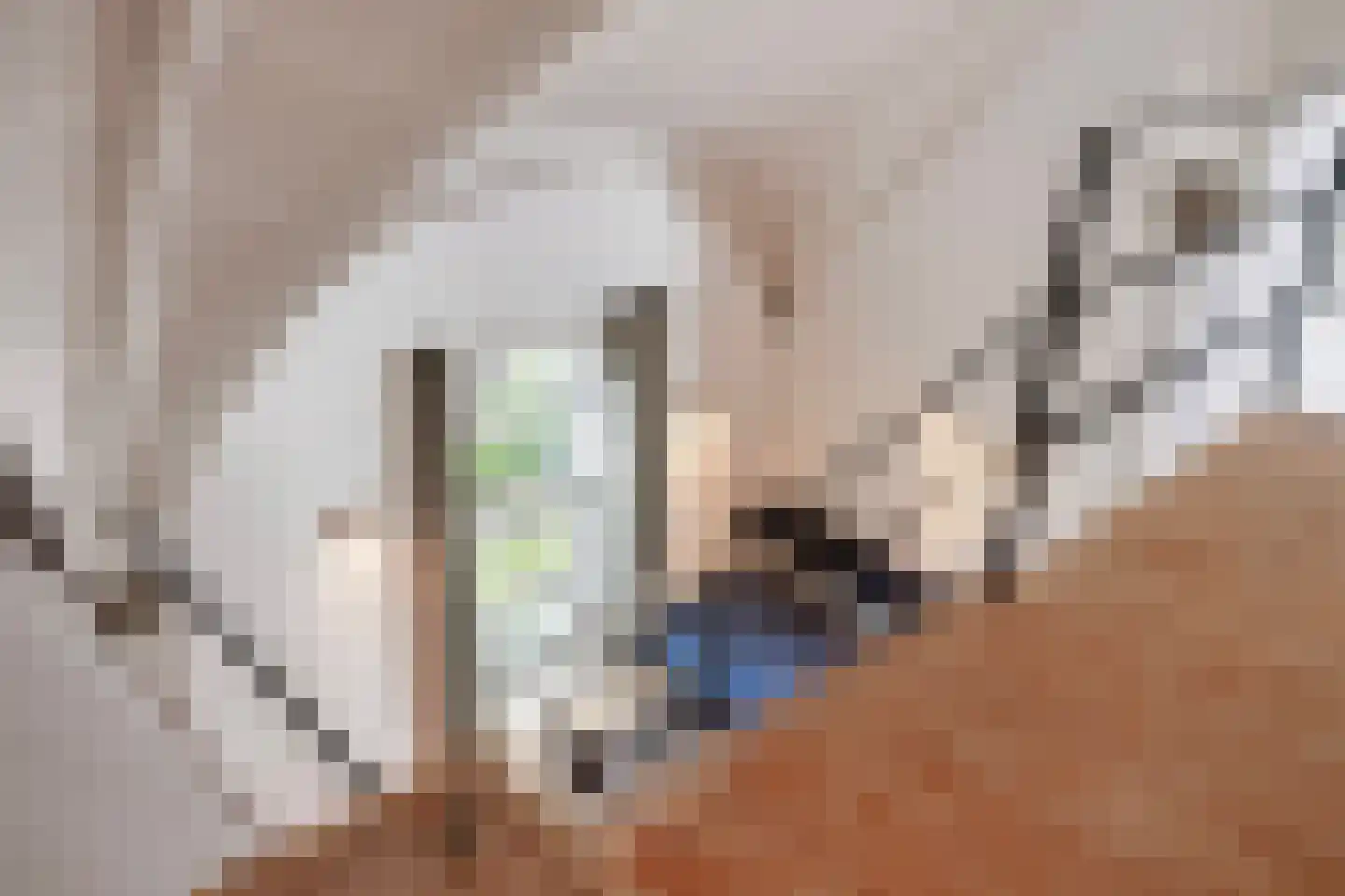 Schuitvlotstraat 15 Groede thumbnail 33