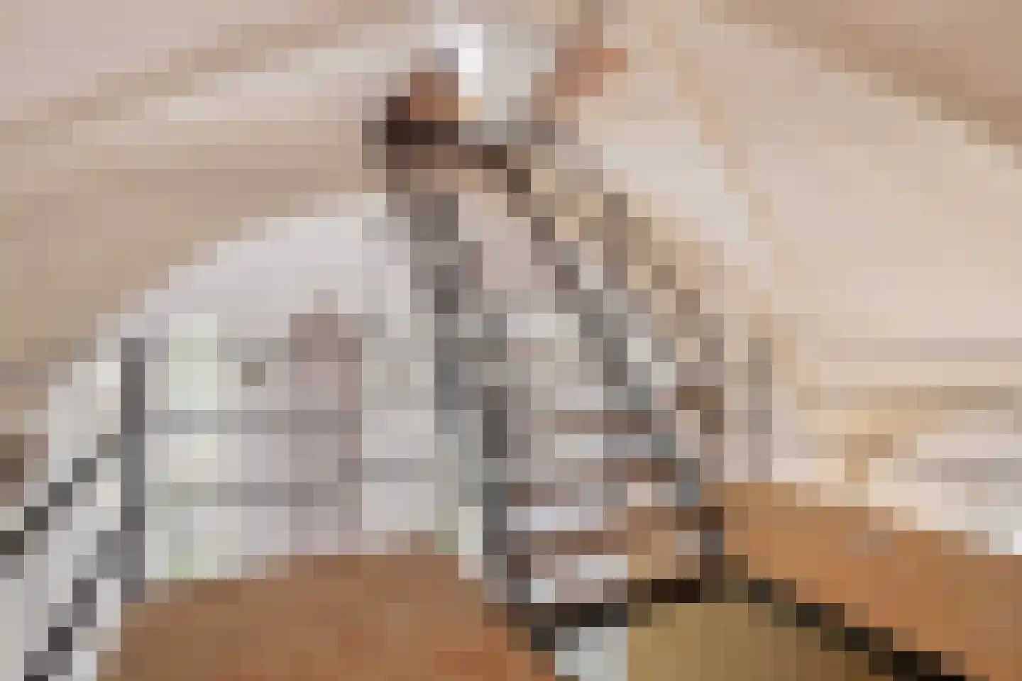 Schuitvlotstraat 15 Groede thumbnail 35