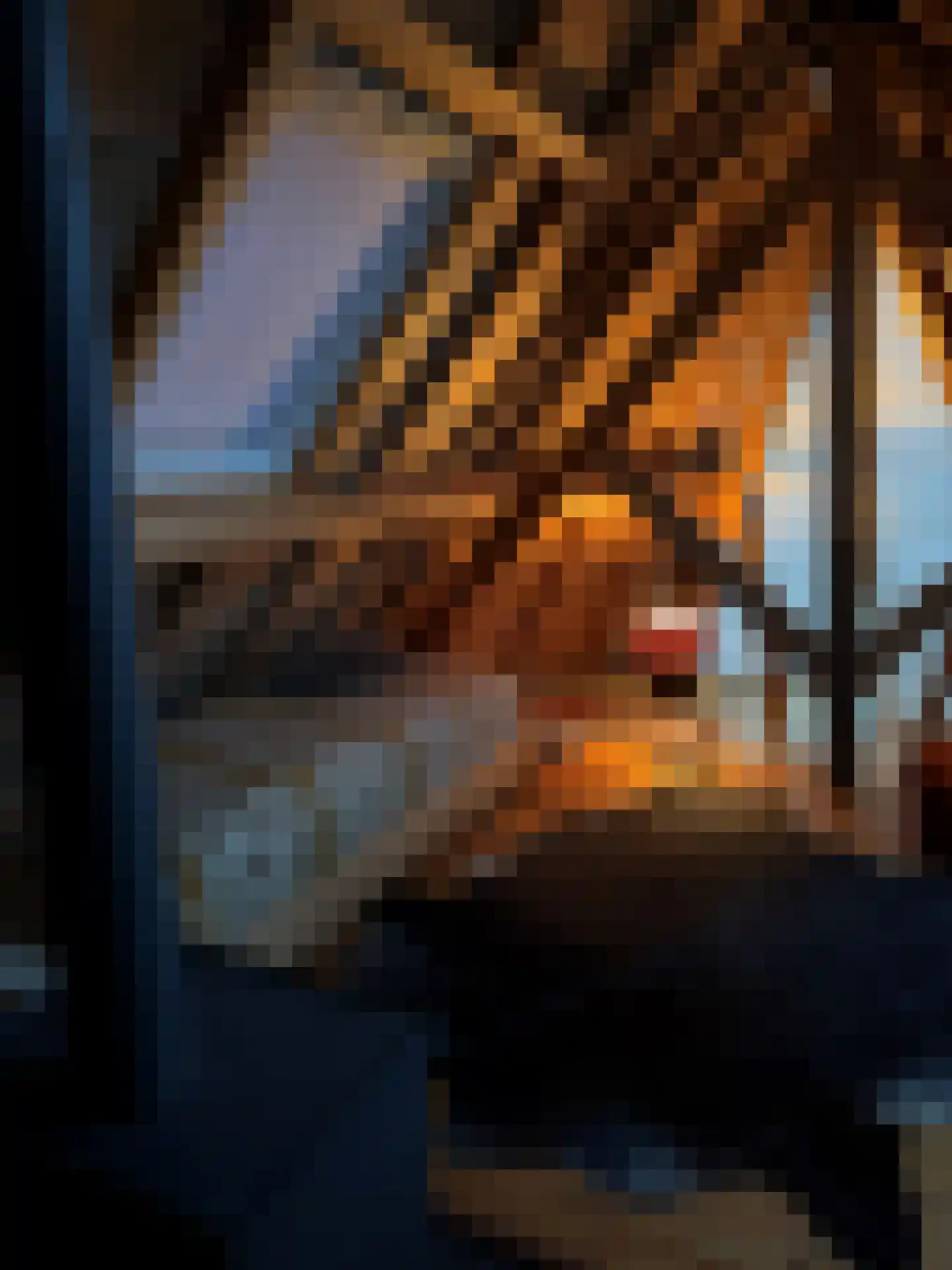 Schuitvlotstraat 15 Groede thumbnail 38