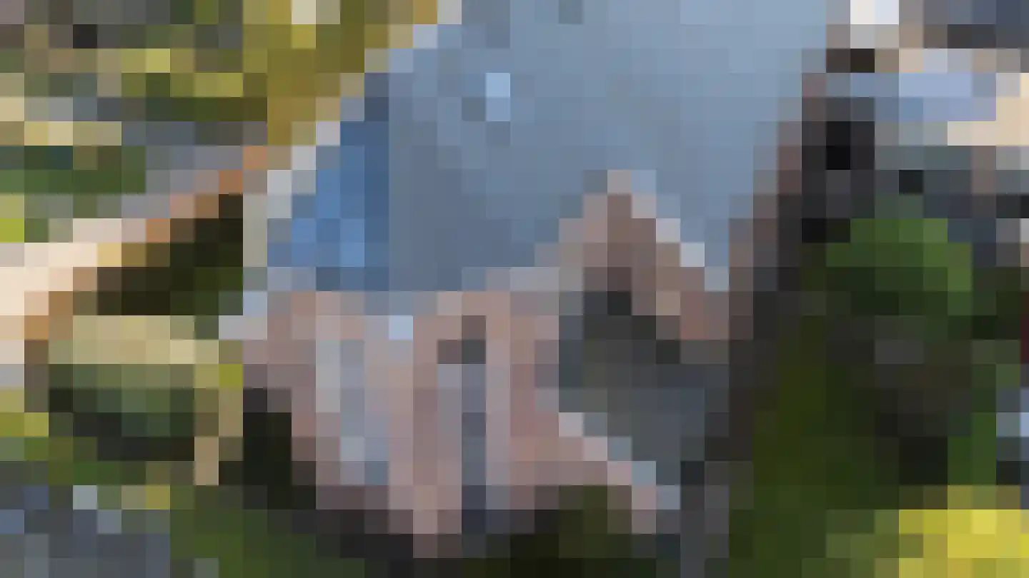 Schuitvlotstraat 15 Groede thumbnail 4