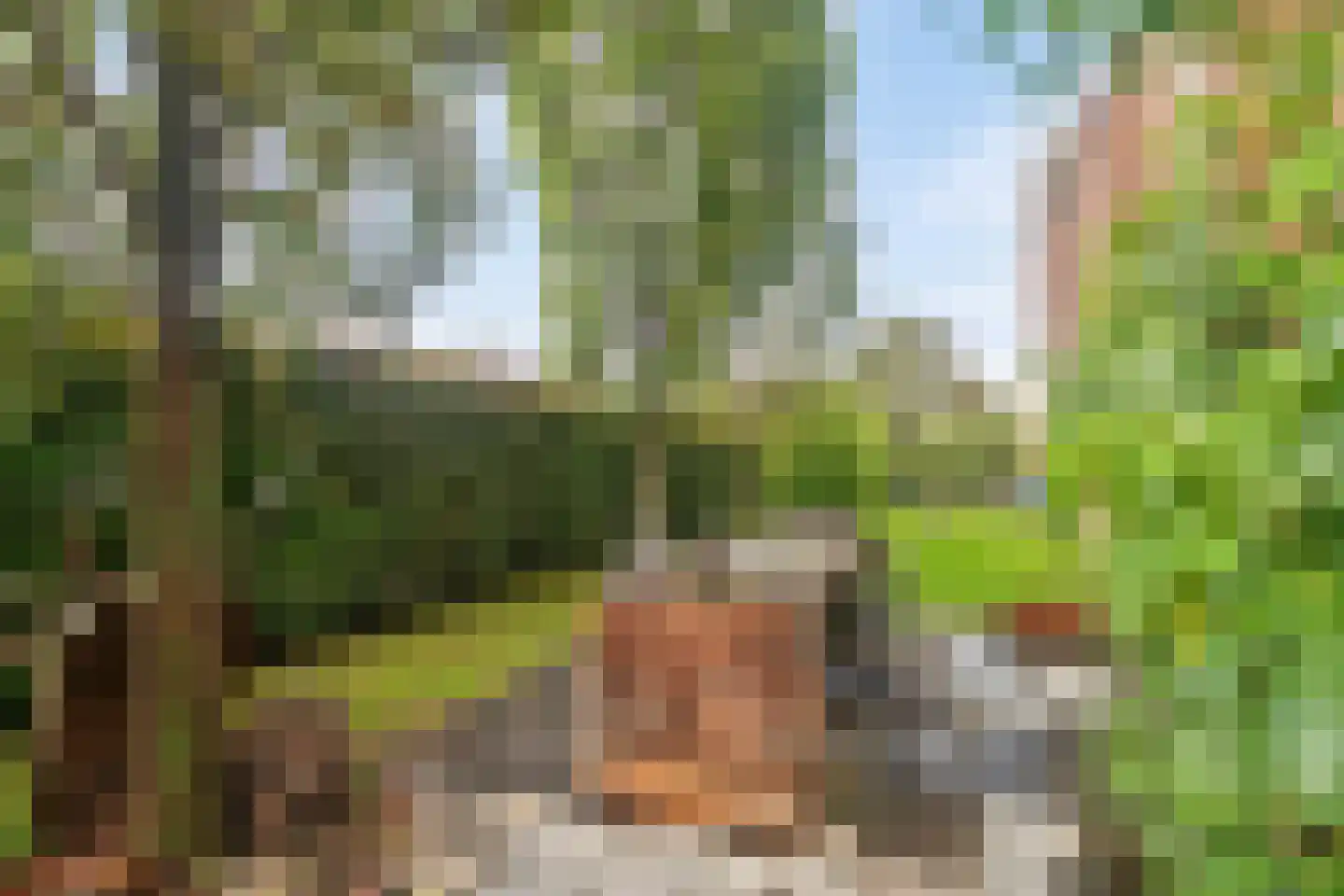 Schuitvlotstraat 15 Groede thumbnail 40