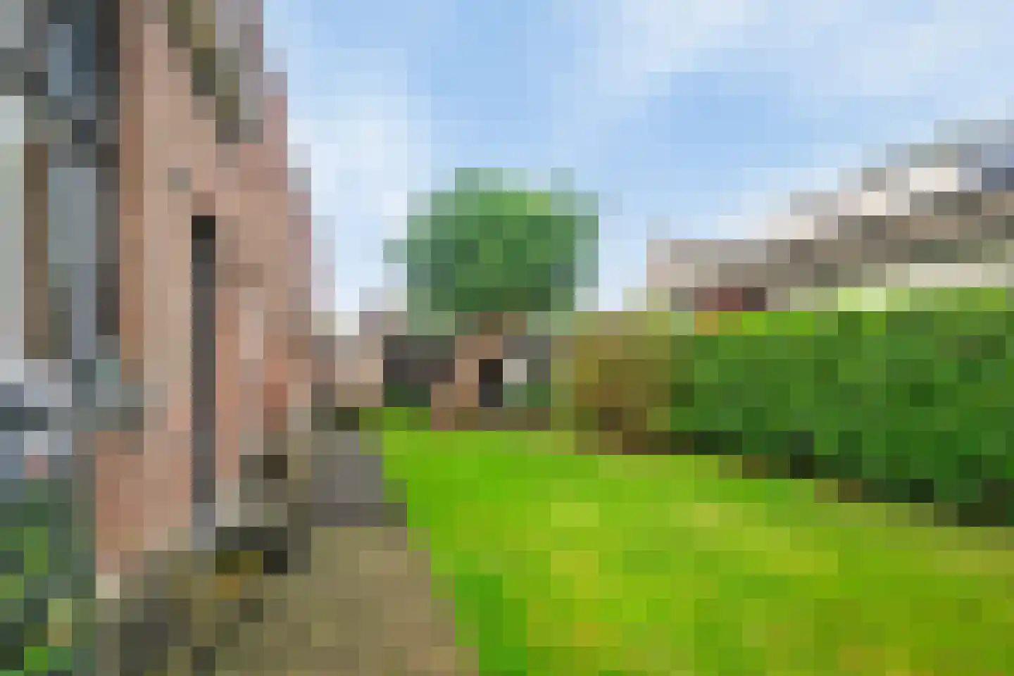 Schuitvlotstraat 15 Groede thumbnail 43