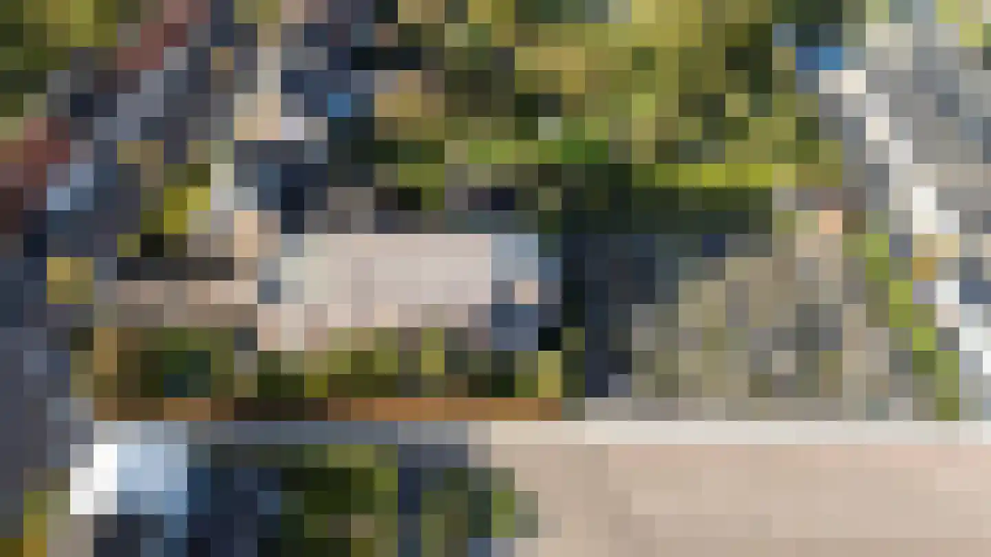 Schuitvlotstraat 15 Groede thumbnail 44