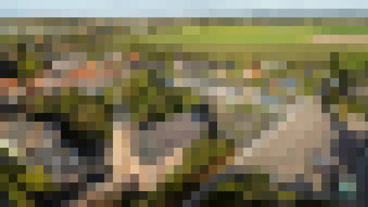 Schuitvlotstraat 15 Groede thumbnail 47