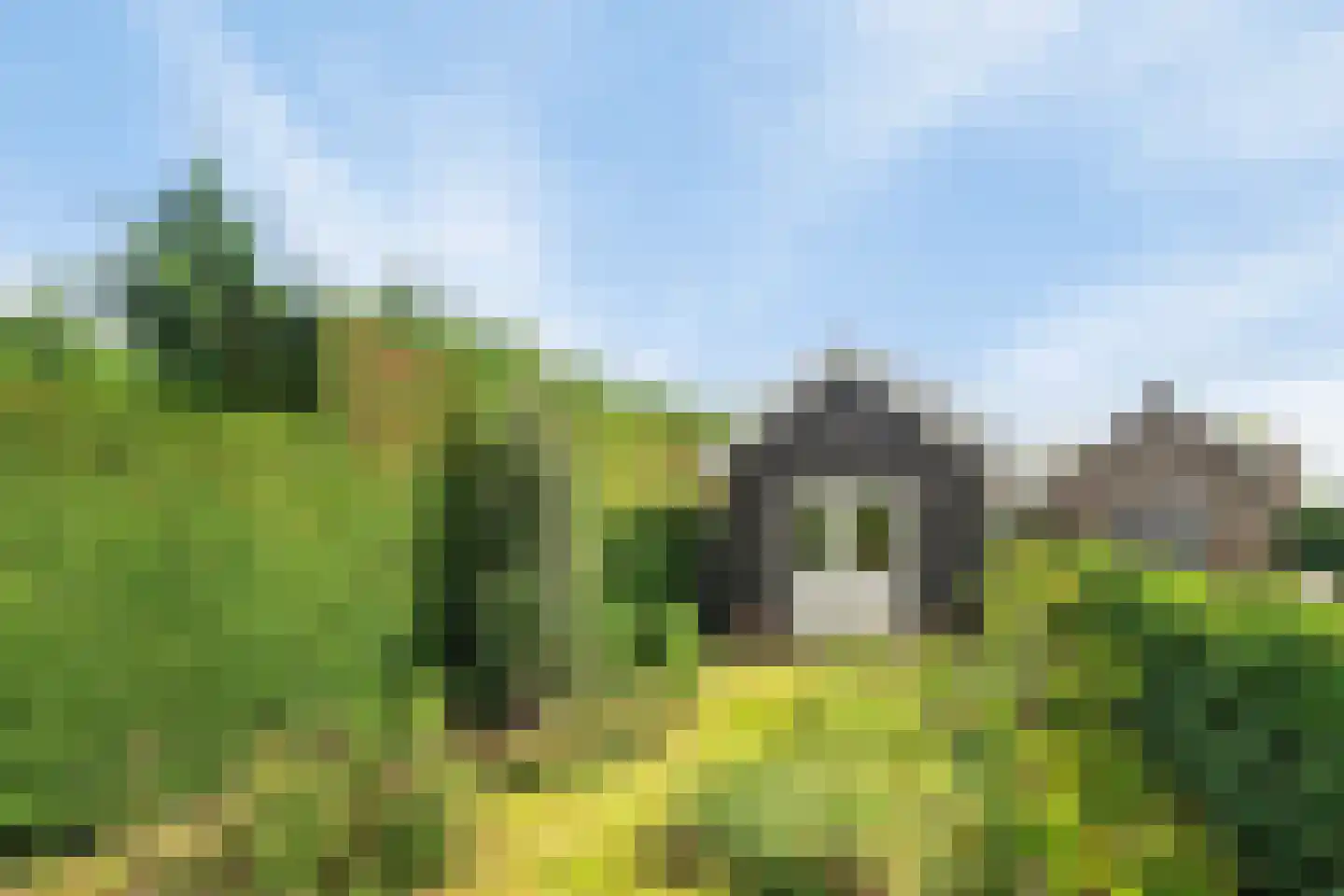 Schuitvlotstraat 15 Groede thumbnail 56