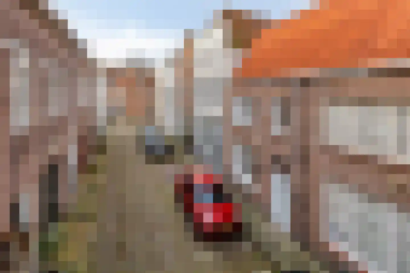 Schuitvlotstraat 19 Middelburg thumbnail 44