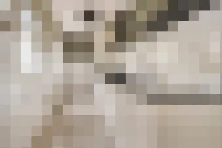Schuitvlotstraat 21 Middelburg thumbnail 7