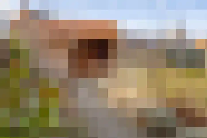 Schuitvlotstraat 28 Domburg thumbnail 18