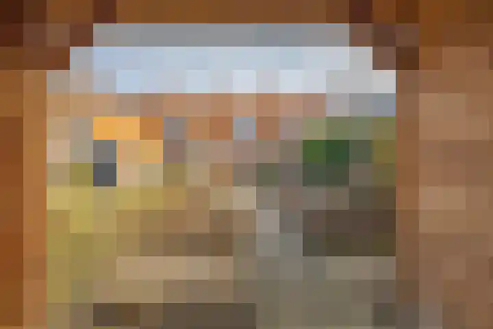 Schuitvlotstraat 28 Domburg thumbnail 21