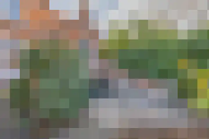 Schuitvlotstraat 28 Domburg thumbnail 22