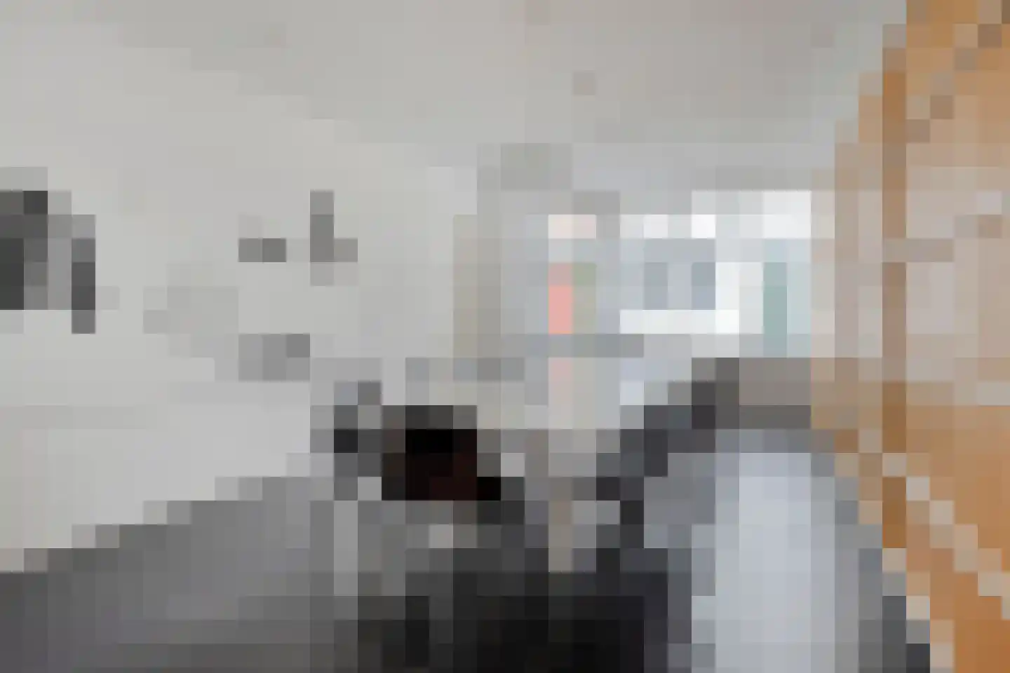 Schuitvlotstraat 30 Middelburg thumbnail 9