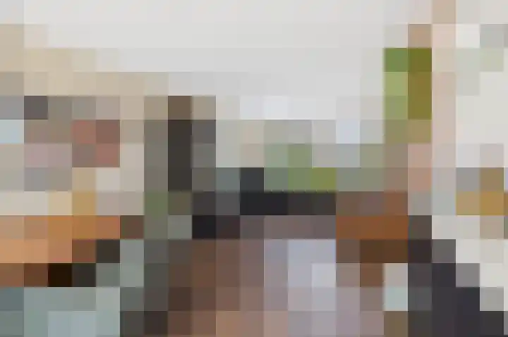 Schuitvlotstraat 31 Biggekerke thumbnail 11