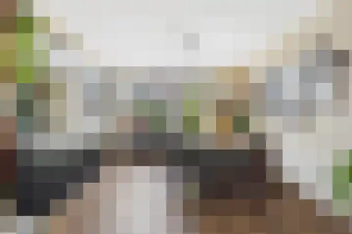 Schuitvlotstraat 31 Biggekerke thumbnail 13