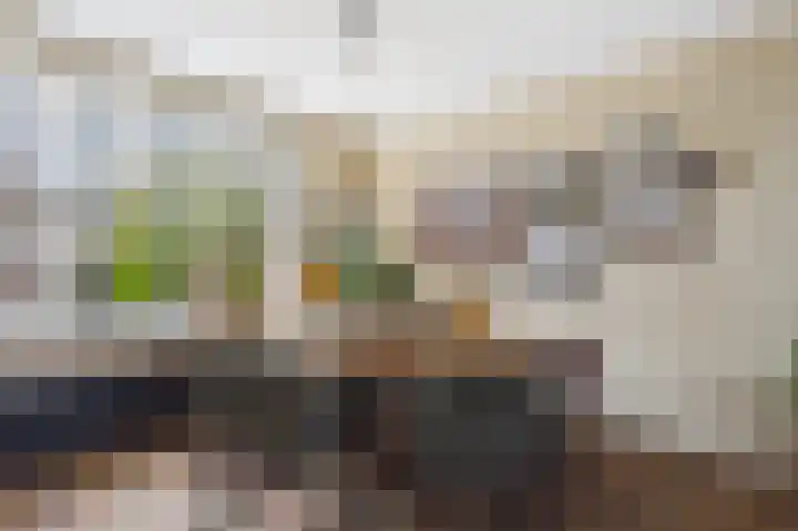 Schuitvlotstraat 31 Biggekerke thumbnail 14