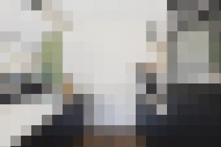 Schuitvlotstraat 31 Biggekerke thumbnail 17