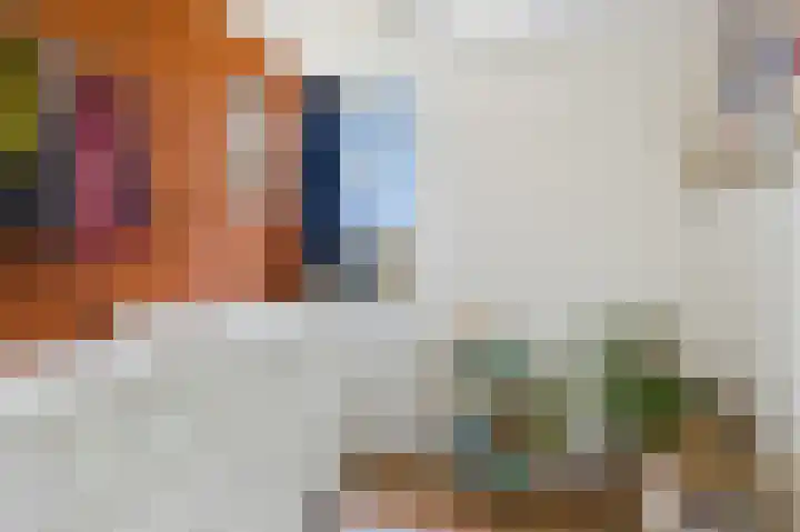 Schuitvlotstraat 31 Biggekerke thumbnail 23