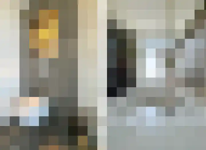 Schuitvlotstraat 31 Biggekerke thumbnail 36