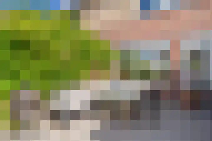 Schuitvlotstraat 31 Biggekerke thumbnail 38