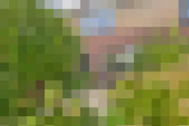 Schuitvlotstraat 31 Biggekerke thumbnail 5