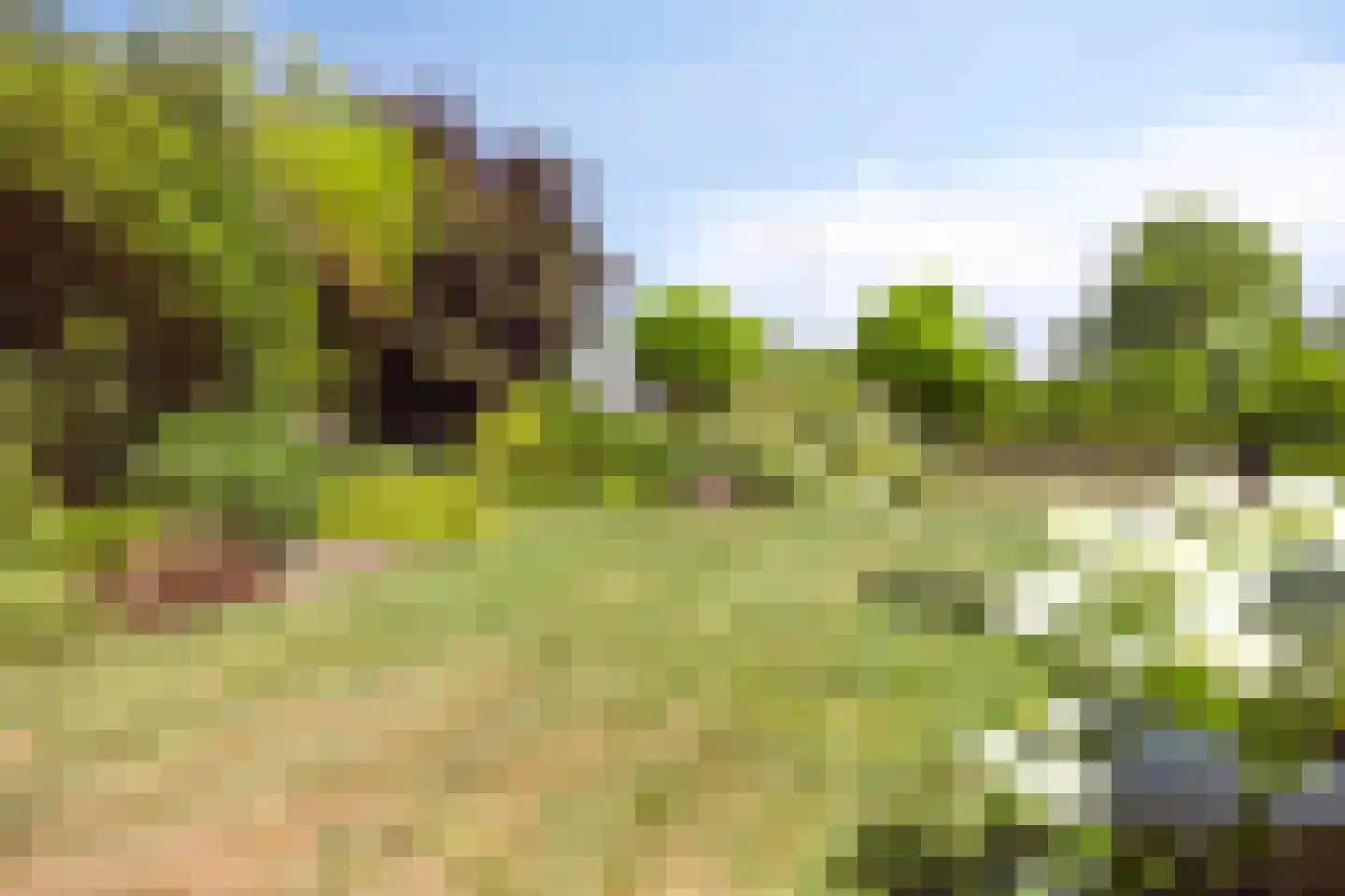Schuitvlotstraat 48 Groede thumbnail 24