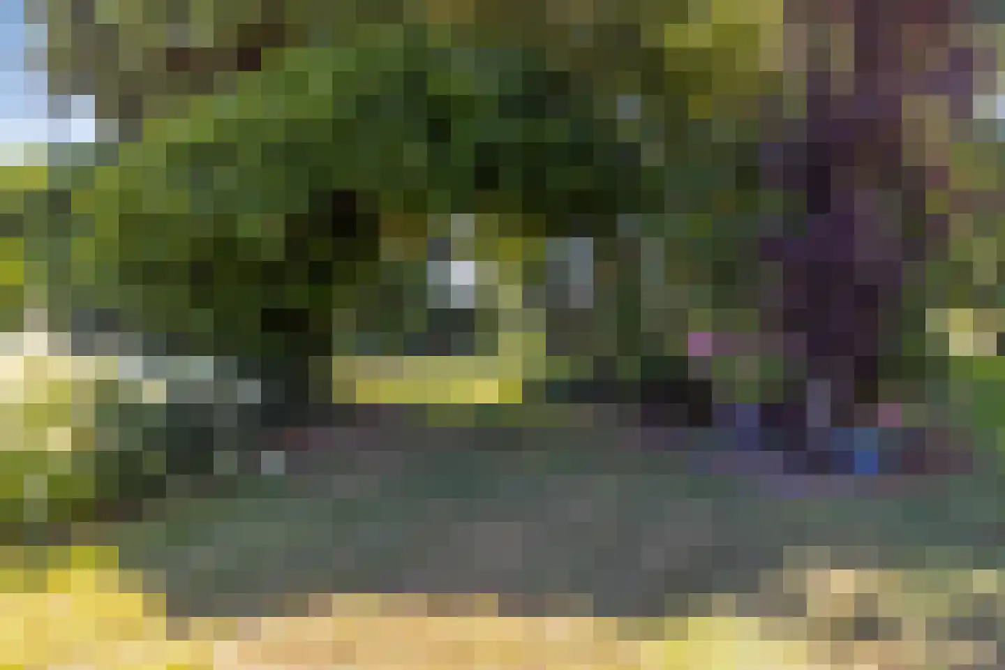 Schuitvlotstraat 48 Groede thumbnail 25