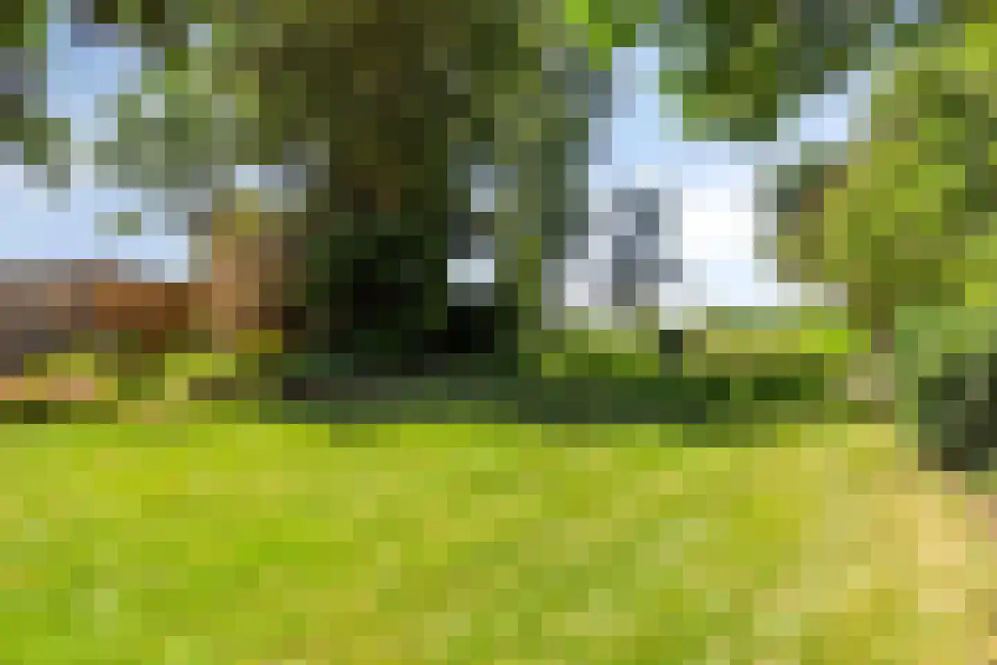 Schuitvlotstraat 48 Groede thumbnail 26