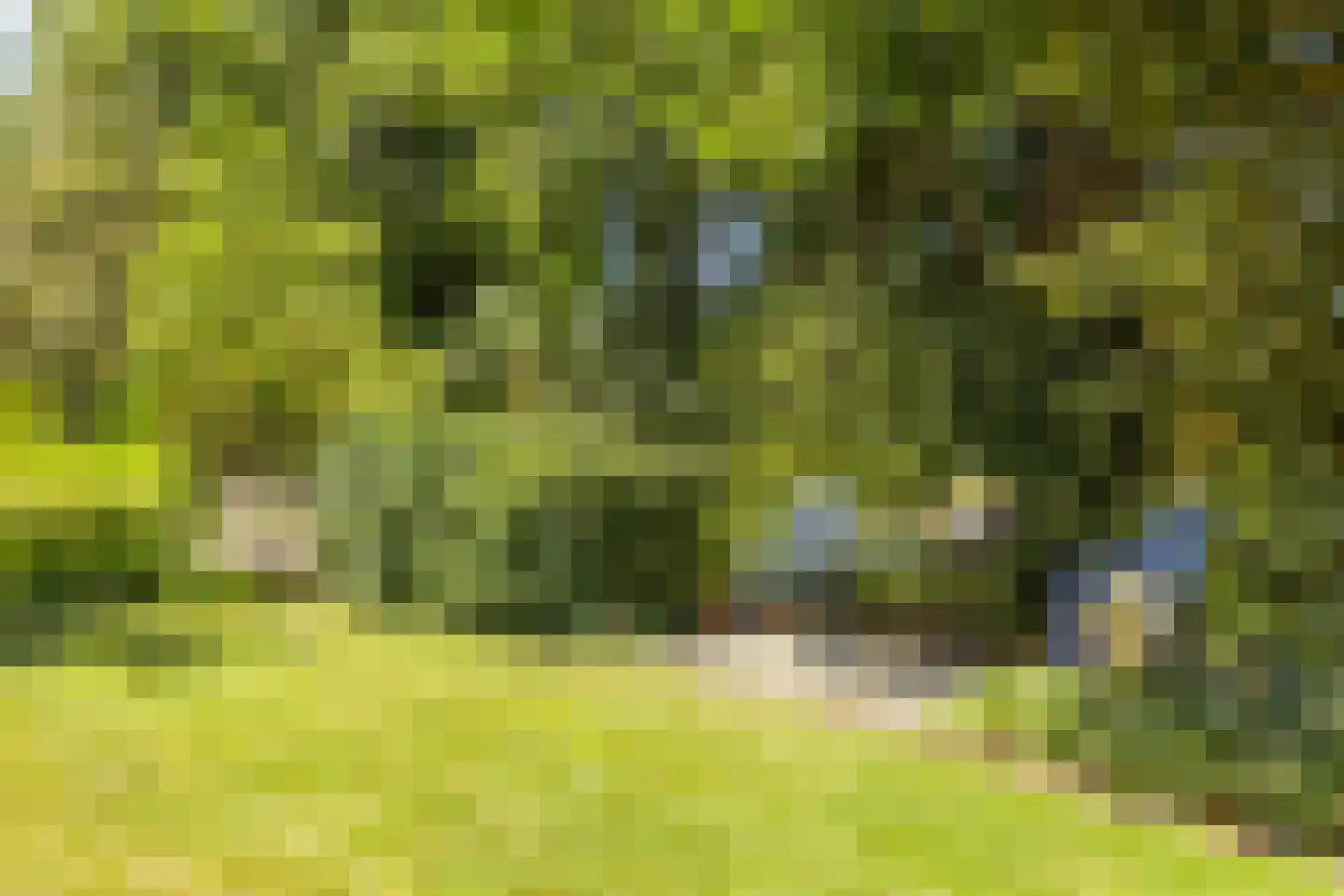 Schuitvlotstraat 48 Groede thumbnail 27