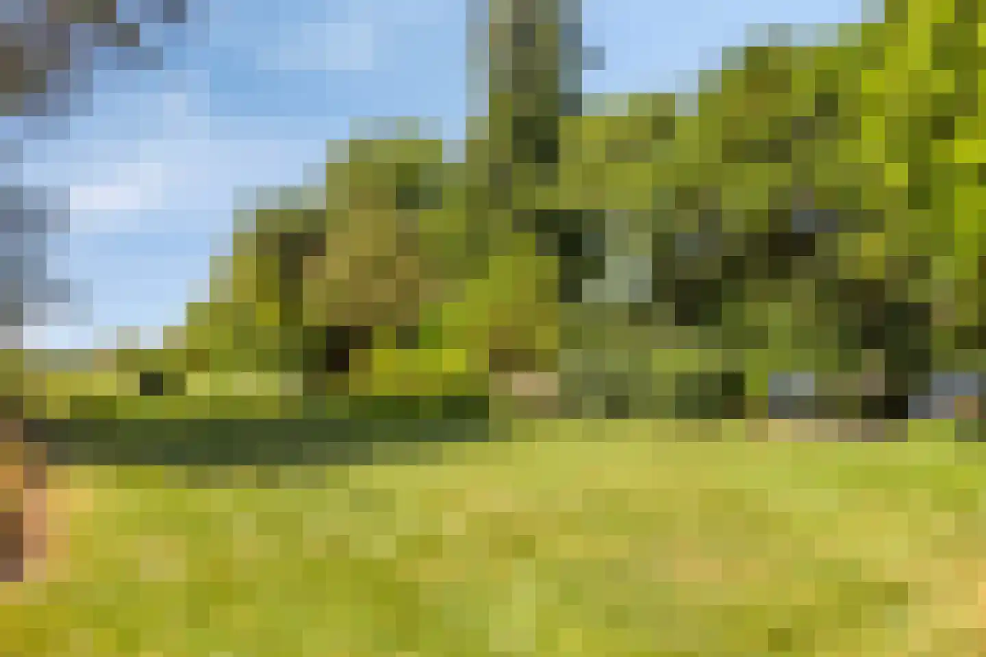 Schuitvlotstraat 48 Groede thumbnail 28