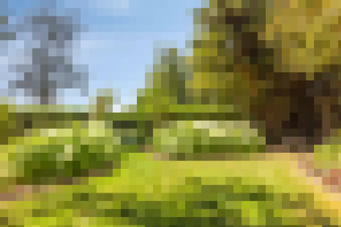 Schuitvlotstraat 48 Groede thumbnail 29