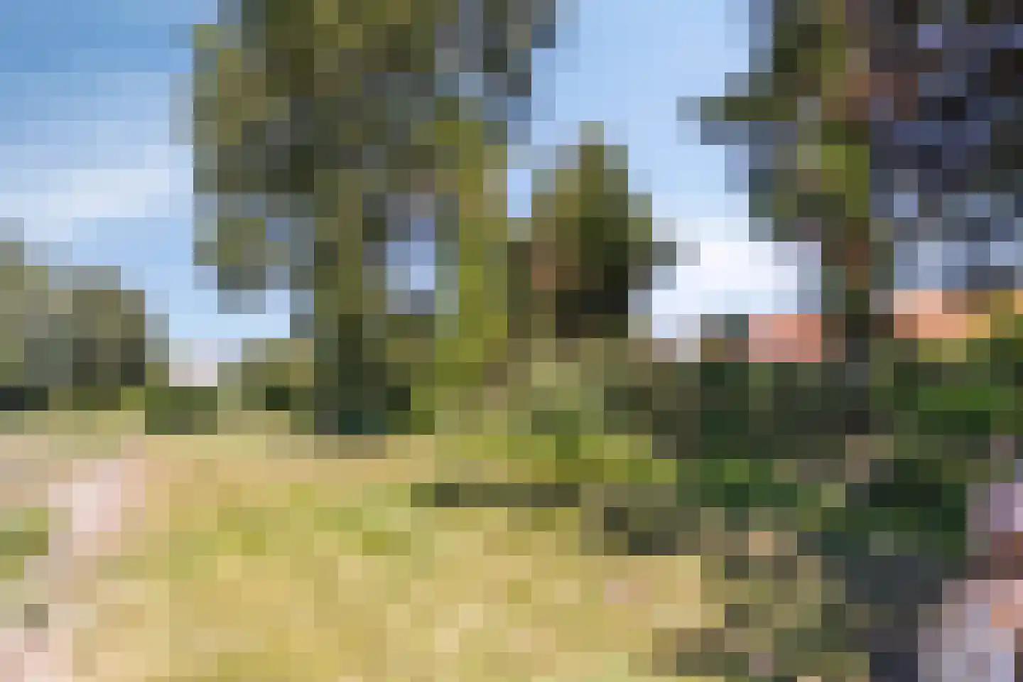 Schuitvlotstraat 48 Groede thumbnail 31