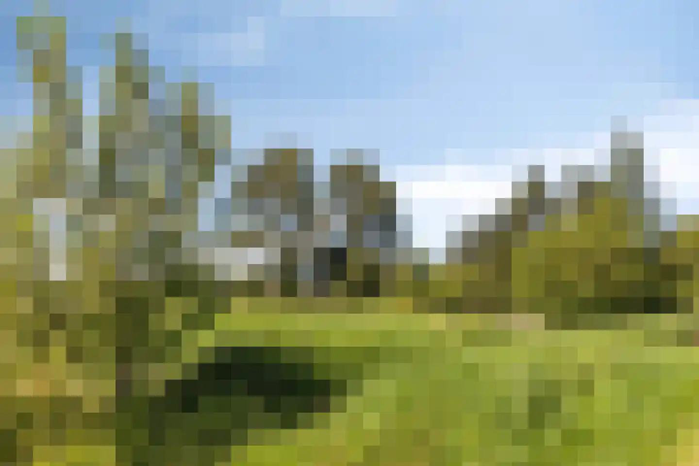Schuitvlotstraat 48 Groede thumbnail 44