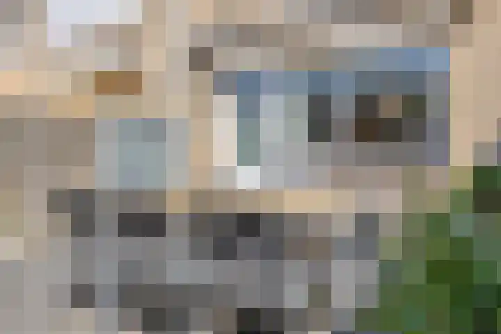 Schuivenoord 122 Roosendaal thumbnail 36