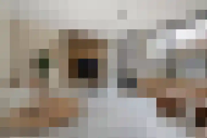 Schukkingdreef 6 Zuidwolde thumbnail 12