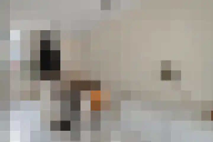Schukkingdreef 6 Zuidwolde thumbnail 14