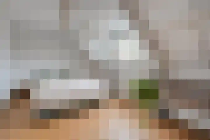 Schukkingdreef 6 Zuidwolde thumbnail 25