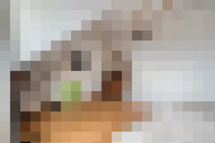 Schukkingdreef 6 Zuidwolde thumbnail 26