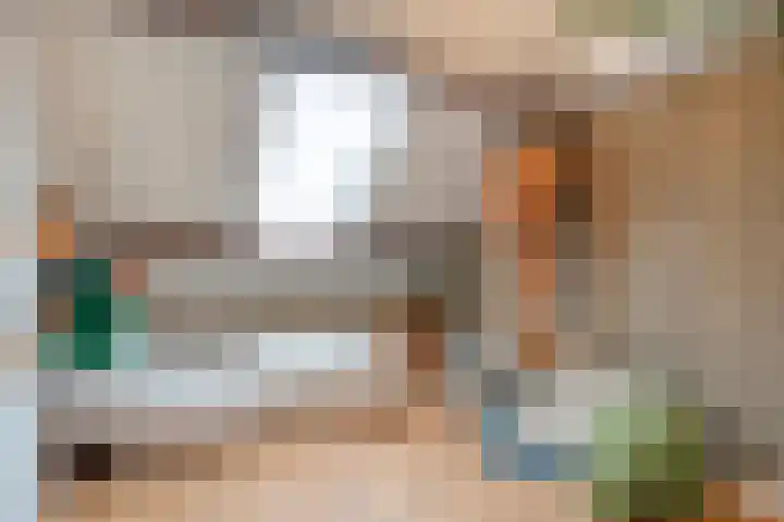 Schukkingdreef 6 Zuidwolde thumbnail 33