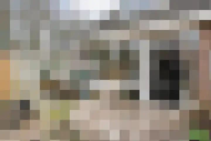 Schukkingdreef 6 Zuidwolde thumbnail 36